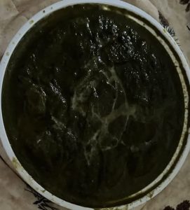 Palak Chicken