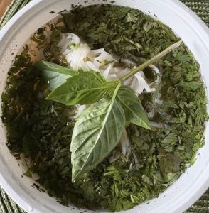 Vegetarian Pho Noodle Soup